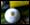 League of Champions